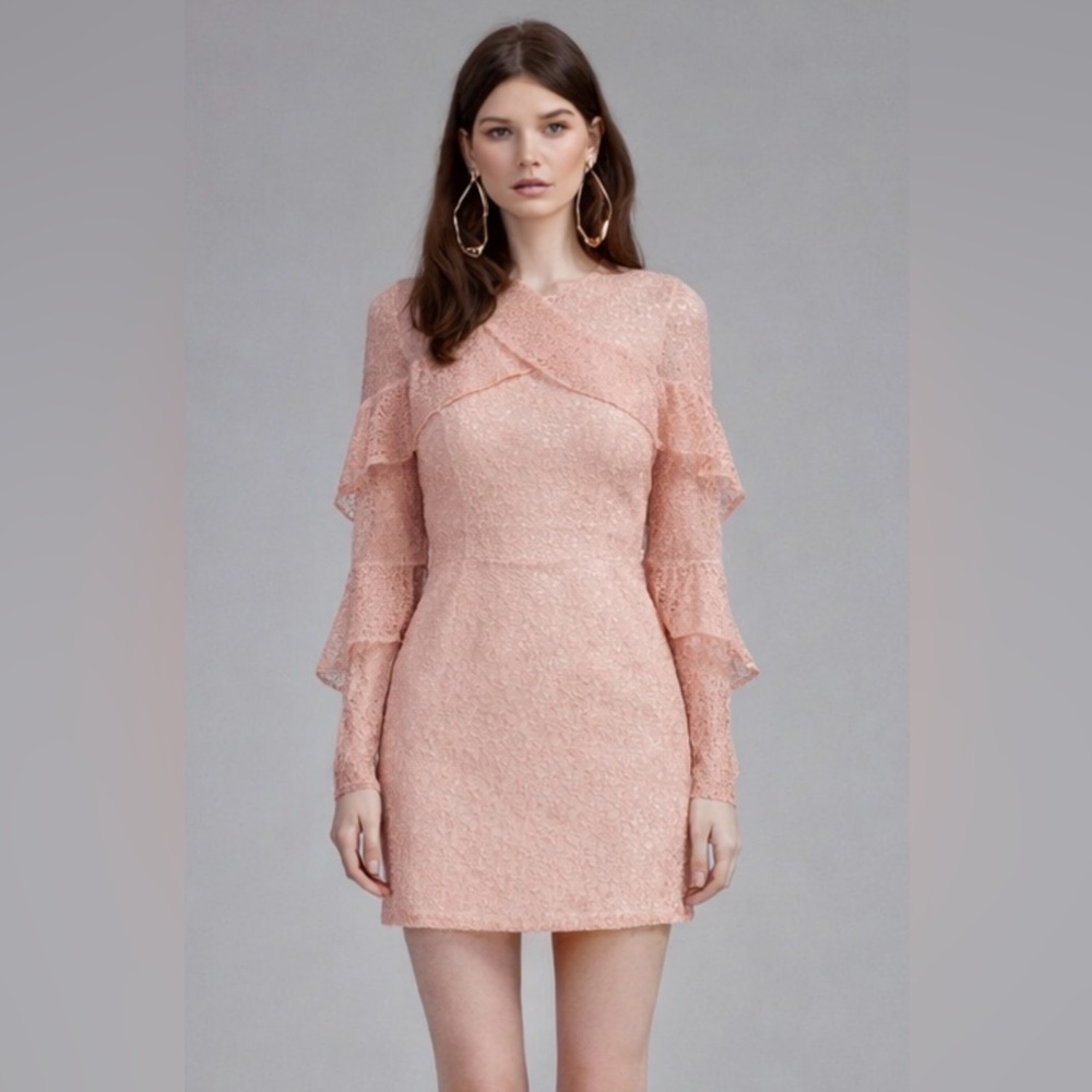 KEEPSAKE the Label Blush Lace Long Sleeve Dress - Picture 2 of 6
